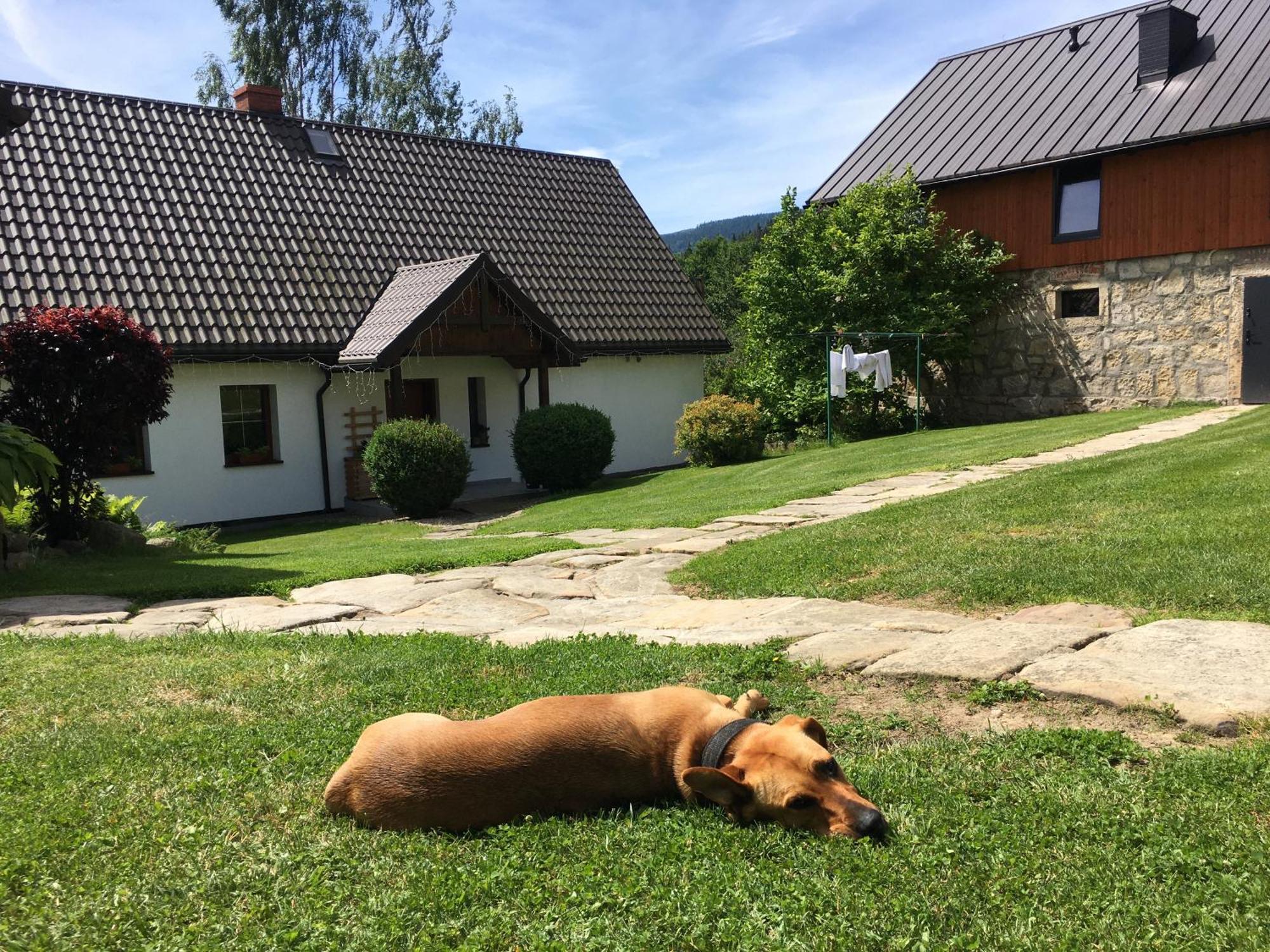 Ostoja Villa
